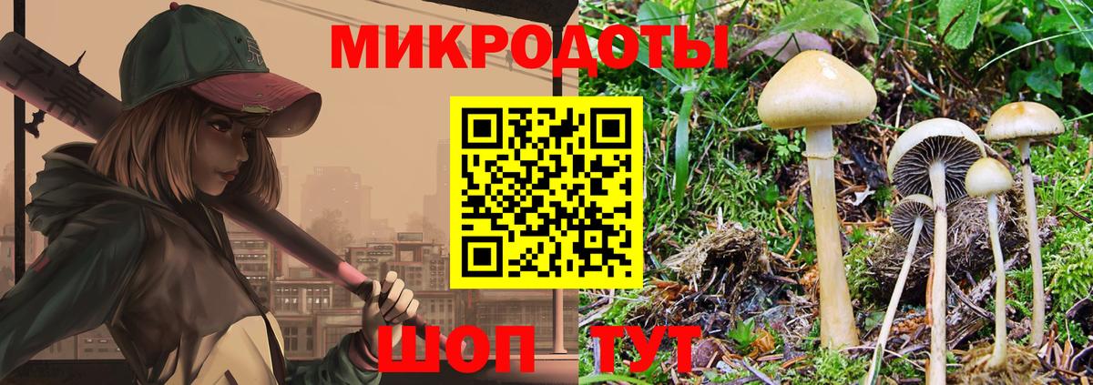Галлюциногенные грибы Psilocybine cubensis  Галлюциногенные грибы Magic Shrooms  Вход с VPN  Александров 