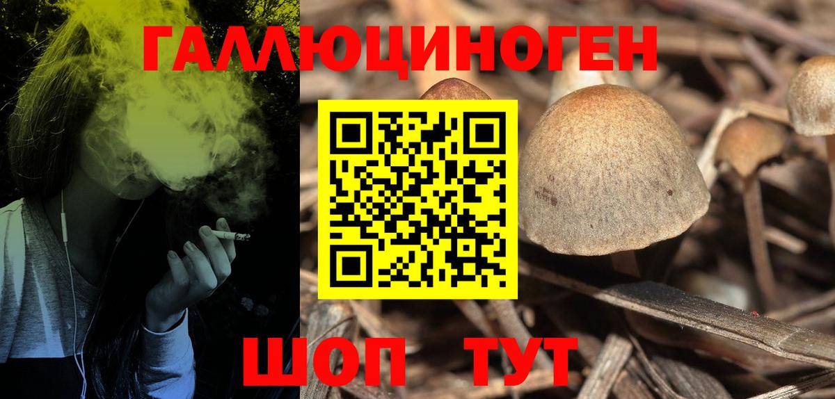 Псилоцибиновые грибы Psilocybe Александров